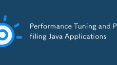 Performance Tuning and Profiling Java Applications