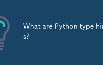 What are Python type hints?