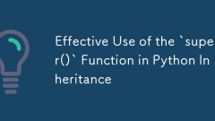 有效使用python繼承中的`super()`函數