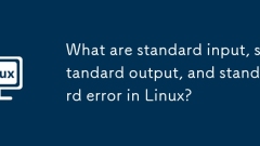 Was sind Standardeingang, Standardausgabe und Standardfehler unter Linux?