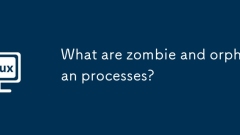 Was sind Zombie- und Orphan -Prozesse?