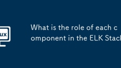 Welche Rolle spielt jede Komponente im Elchstapel?