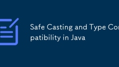 Safe Casting and Type Compatibility in Java