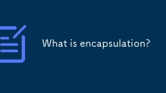 What is encapsulation?
