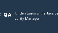 Understanding the Java Security Manager
