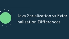 Sérialisation Java vs différences d'externalisation