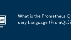 What is the Prometheus Query Language (PromQL)?