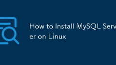 如何在Linux上安装MySQL Server