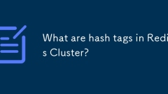 Was sind Hash -Tags in Redis Cluster?