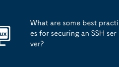 SSH ?? ????? ?? ??? ??????