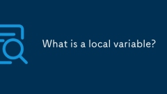 Was ist eine lokale Variable?