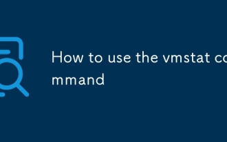 How to use the vmstat command