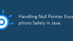 Umgang mit Nullzeigerausnahmen in Java sicher