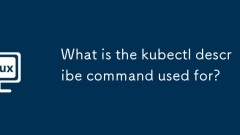 kubectl ?? ??? ??????