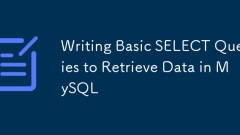 Schreiben Sie grundlegende Auswahlabfragen zum Abrufen von Daten in MySQL