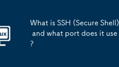 Apakah SSH (Secure Shell) dan pelabuhan apa yang digunakannya?