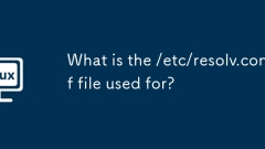 What is the /etc/resolv.conf file used for?