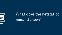 What does the netstat command show?