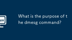 What is the purpose of the dmesg command?