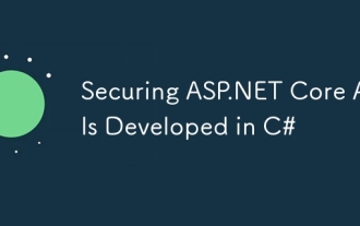 確保在C#中開發的ASP.NET核心API