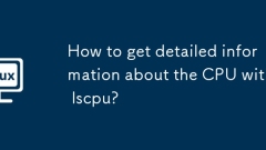 Bagaimana untuk mendapatkan maklumat terperinci mengenai CPU dengan LSCPU?