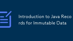 Einführung in Java -Aufzeichnungen für unver?nderliche Daten