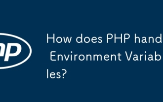How does PHP handle Environment Variables?