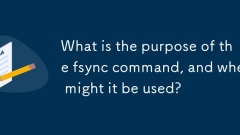 What is the purpose of the fsync command, and when might it be used?