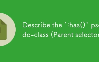`: has ()`pseudo-class (부모 선택기)를 설명하십시오.
