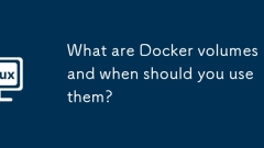 Was sind Docker -B?nde und wann sollten Sie sie verwenden?