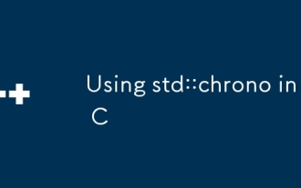 在C中使用std :: Chrono