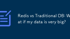 Redis vs従来のDB:データが非常に大きい場合はどうなりますか?