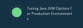 Tuning Java JVM Options for Production Environments