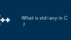 What is std::any in C ?