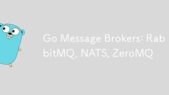 Go Message Brokers: RabbitMQ, NATS, ZeroMQ
