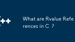 What are Rvalue References in C ?