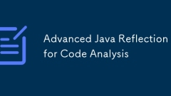 Advanced Java Reflection for Code Analysis