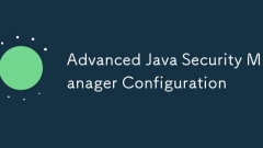 Advanced Java Security Manager Configuration