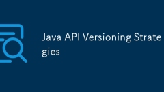 Java API Versioning Strategies