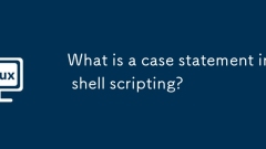 Was ist eine Fallanweisung in Shell Scripting?