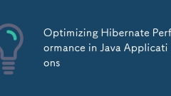 Optimizing Hibernate Performance in Java Applications