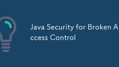 Java Security for Broken Access Control