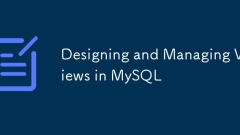 MySQL에서보기 및 관리