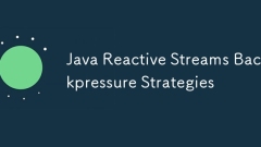 Java -reaktive Streams Backdruckstrategien