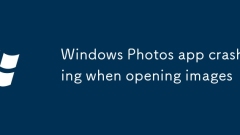 ???? ? ? Windows ?? ? ??
