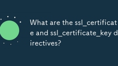 ssl_certificate 및 ssl_certificate_key 지시문은 무엇입니까?