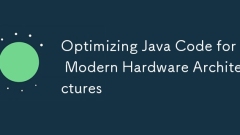Optimierung des Java -Codes für moderne Hardwarearchitekturen