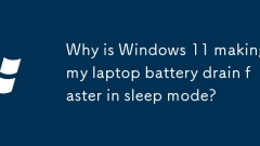 Windows 11? ?? ???? ??? ???? ? ?? ???? ??? ??????