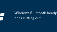 Windows Bluetooth ??? ??