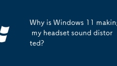 Pourquoi Windows 11 fait-il déformer mon son de casque?